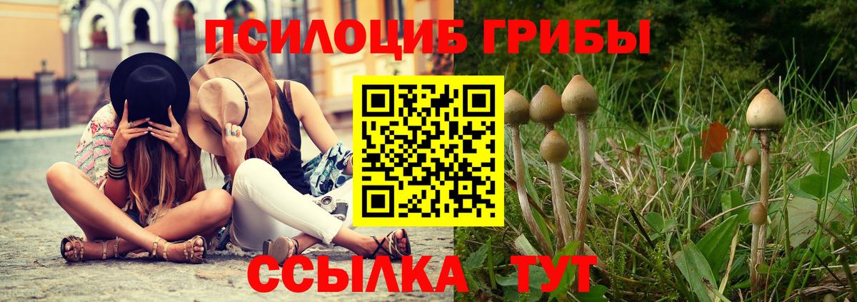 Ялуторовск  Псилоцибиновые грибы ЛСД  Вход с VPN  Галлюциногенные грибы Magic Shrooms 